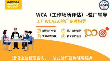 WCAaudit资料准备流程,WCAaudit协助服务